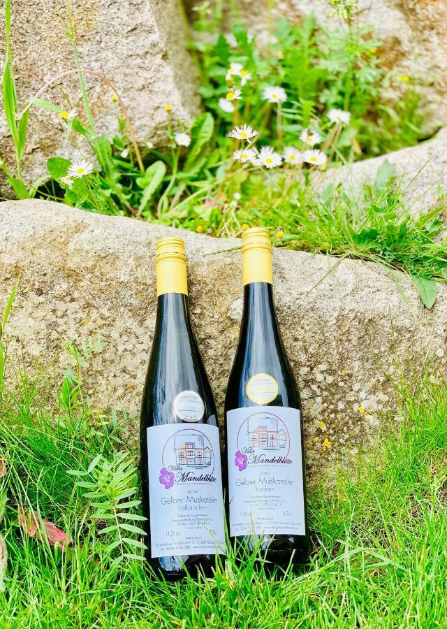 Mandelbluete * Gleiszellen-Gleishorbach