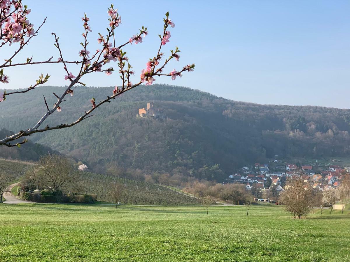 Apartment Mandelbluete Gleiszellen-Gleishorbach
